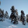 PICT0079.jpg